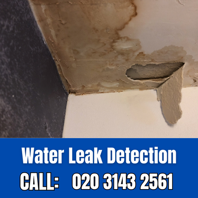 Expert Water Leak Detection Services in West Watford | West Watford Leak Detection